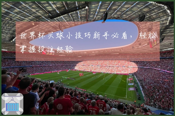 世界杯买球小技巧新手必看，轻松掌握投注经验