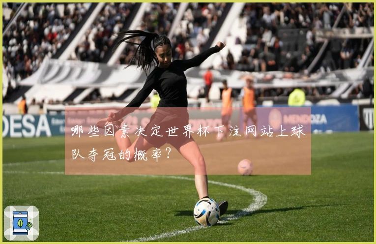 哪些因素决定世界杯下注网站上球队夺冠的概率？