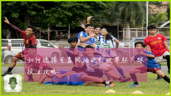 如何选择可靠网站进行世界杯买球投注攻略