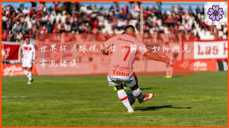 世界杯买球规则你了解吗 如何避免常见错误