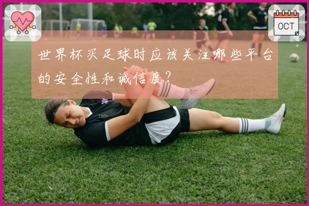 世界杯买足球时应该关注哪些平台的安全性和诚信度？