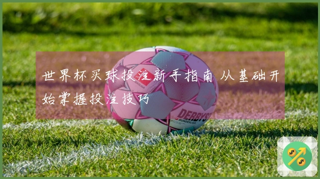 世界杯买球投注新手指南 从基础开始掌握投注技巧
