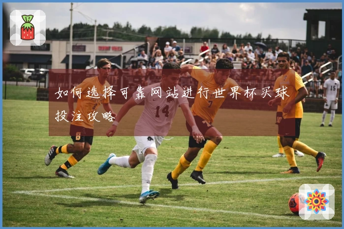 如何选择可靠网站进行世界杯买球投注攻略