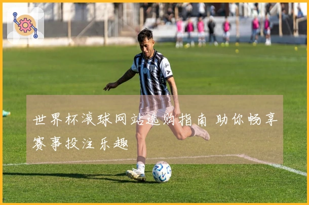 世界杯滚球网站选购指南 助你畅享赛事投注乐趣