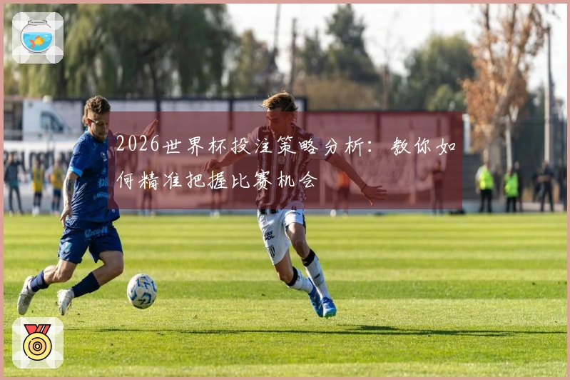 2026世界杯投注策略分析：教你如何精准把握比赛机会